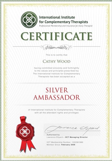 IICT Silver Ambassador