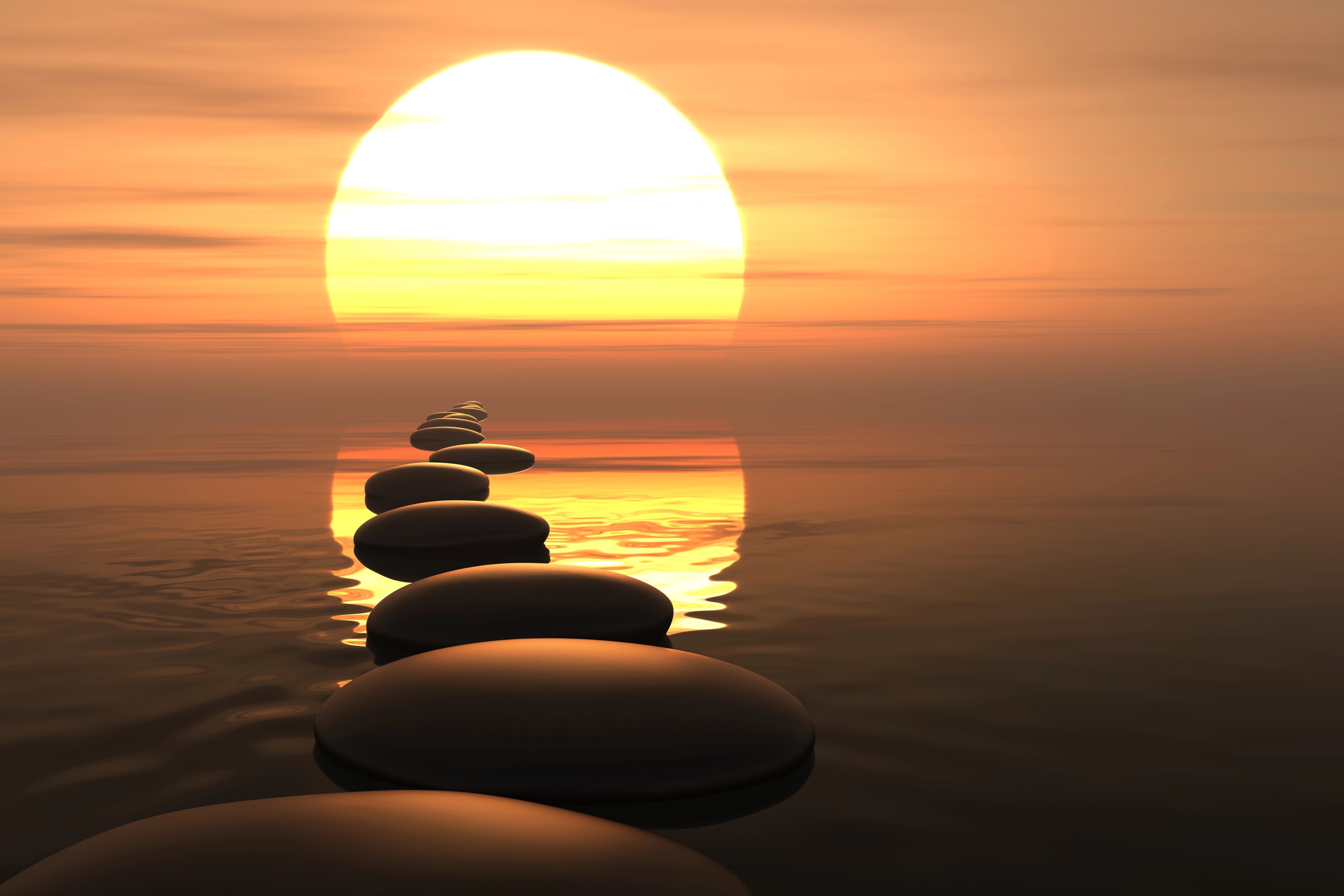 Newsletter June 2024